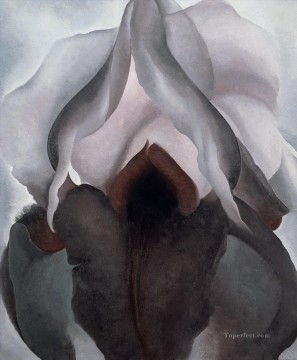 Iris negro Georgia Okeeffe Modernismo americano Precisionismo Pinturas al óleo
